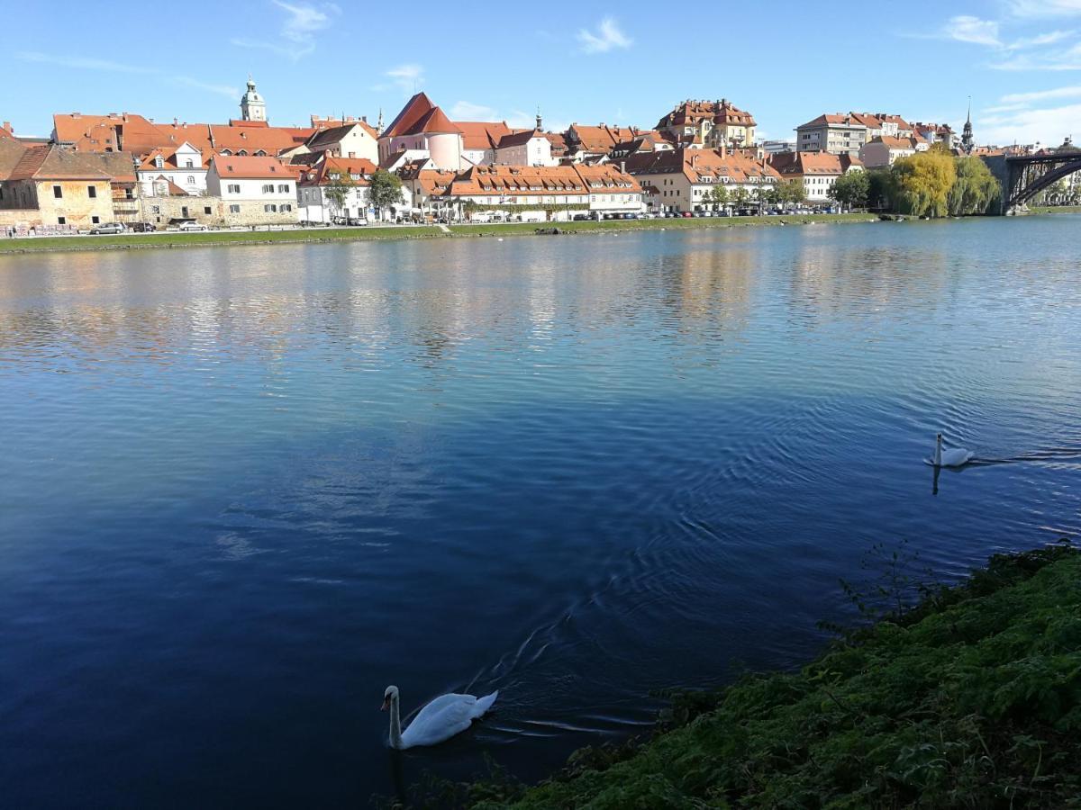 Hotel Citymap Maribor Exterior photo